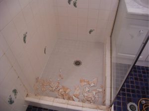 Westinspect Shower repair Information